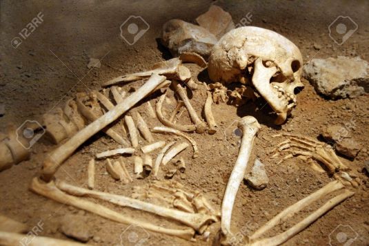 5390882-excavation-rests-of-human-bones-Stock-Photo-skeleton.jpg