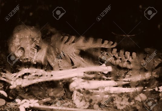 5568089-Remains-of-a-human-skeleton-underground-Stock-Photo.jpg
